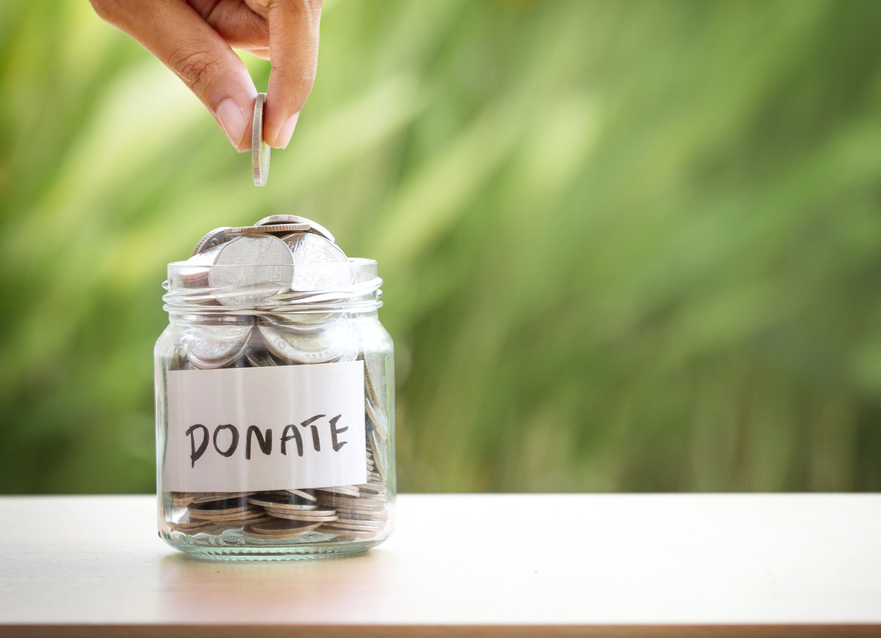 منظمة التنمية السورية